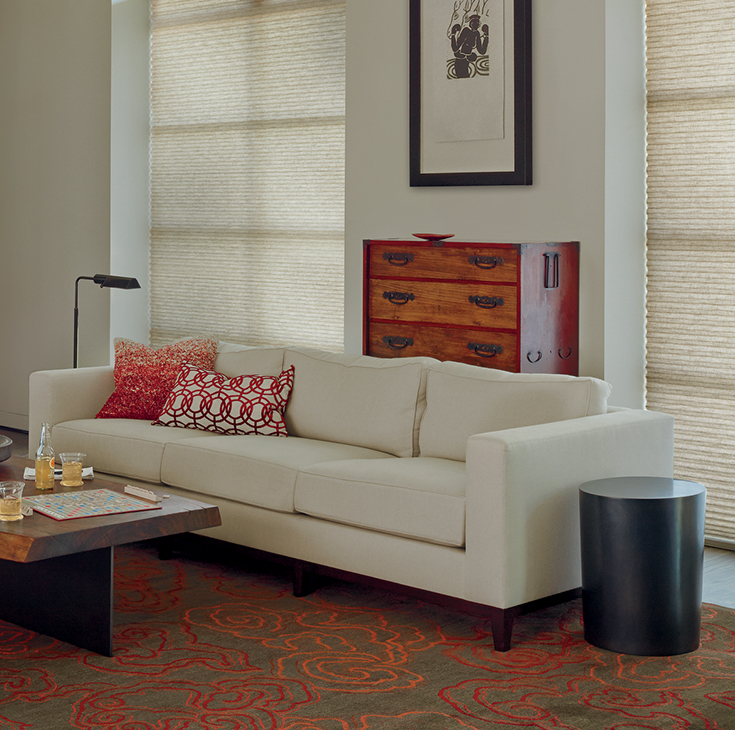 Duette® Honeycomb Shades in living room